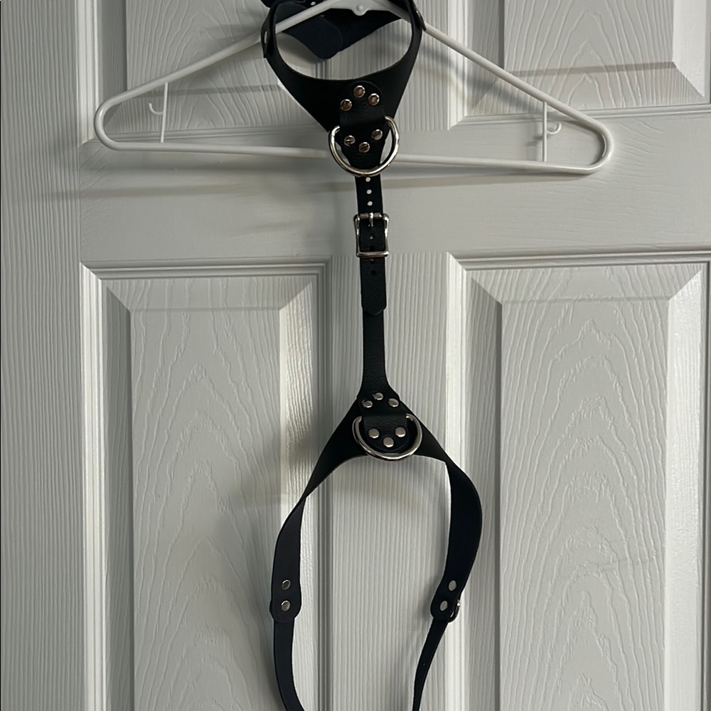 Black Leather Harness